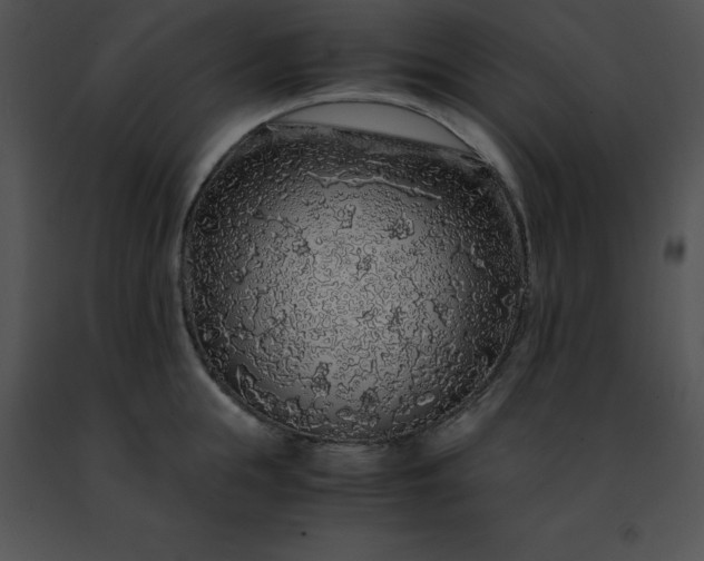 X0000091490855200708301934