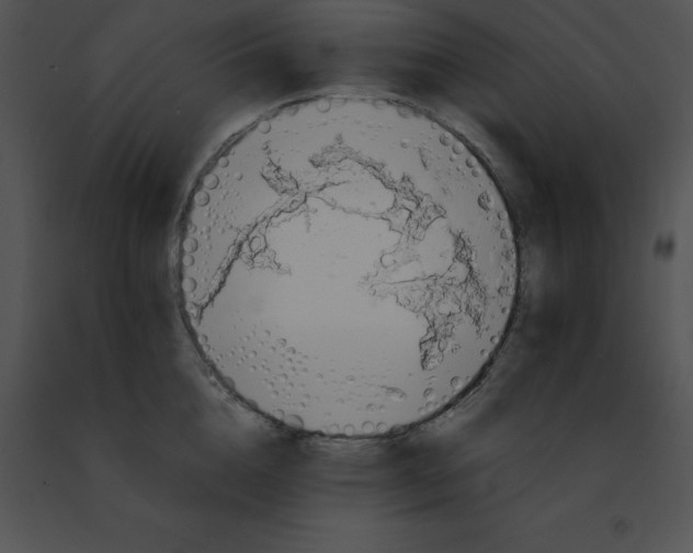 X0000091490856200708301934