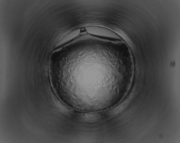 X0000091490857200708301934