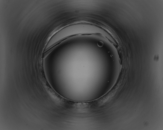 X0000091490858200708301934