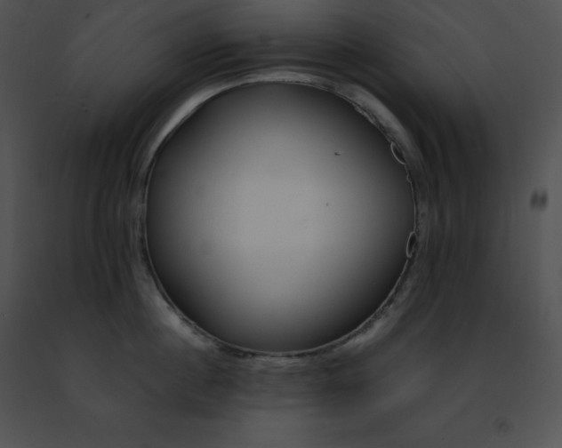 X0000091490860200708301934