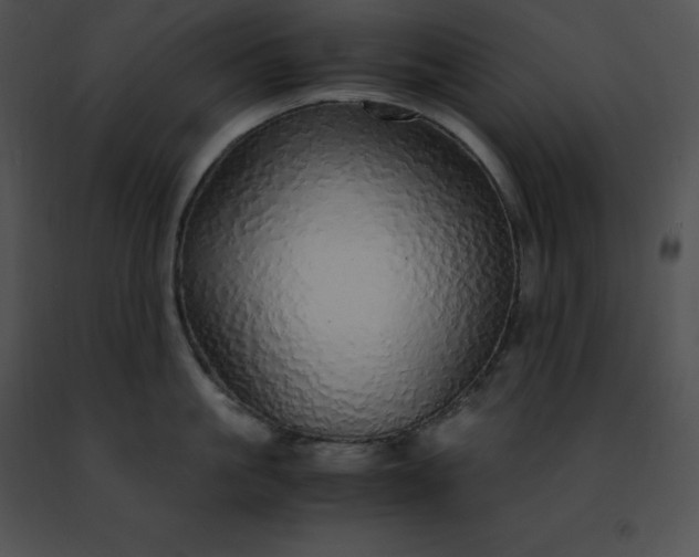 X0000091490861200708301935