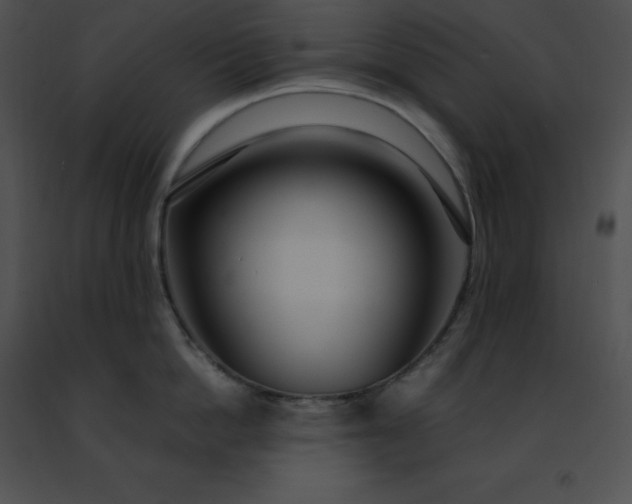 X0000091490862200708301935