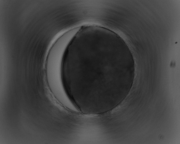 X0000091490864200708301935