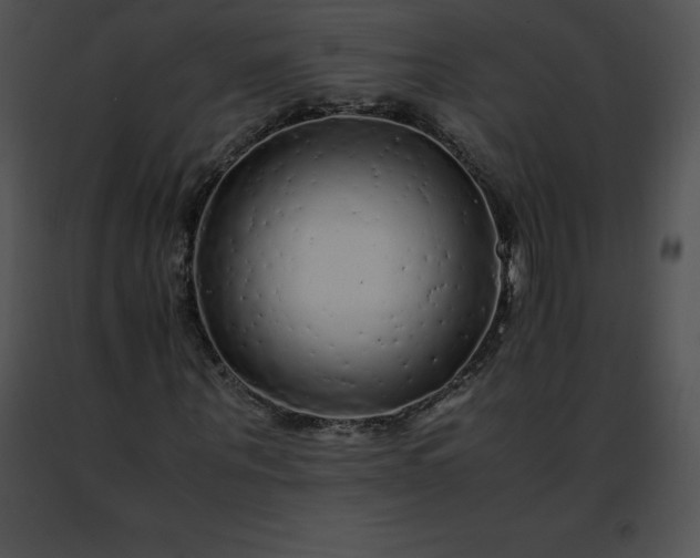 X0000091490867200708301934