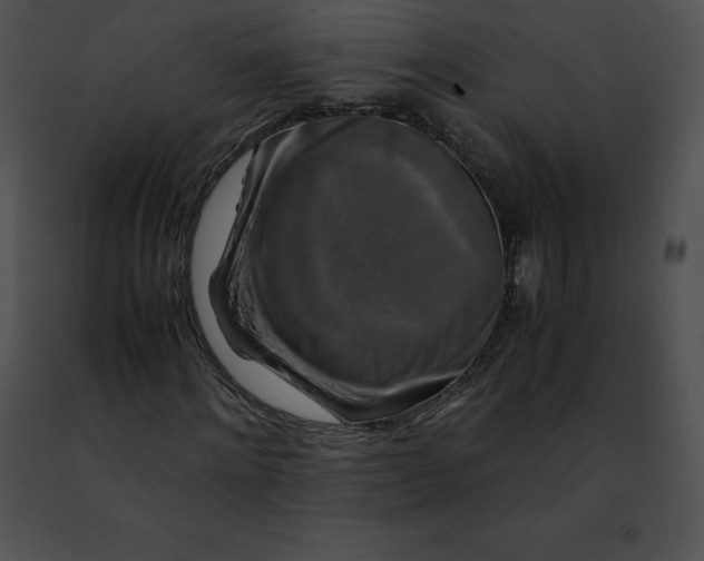 X0000091490868200708301934