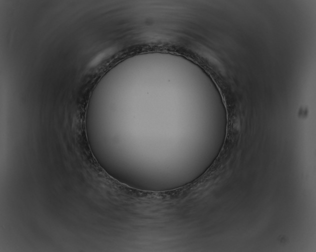 X0000091490869200708301934