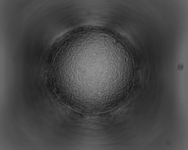 X0000091490870200708301934