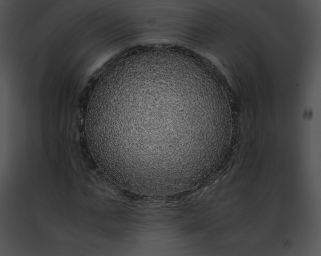 X0000091490871200708301934