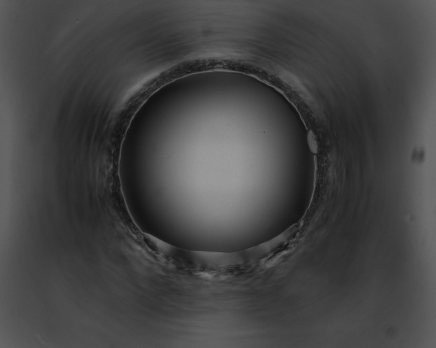 X0000091490872200708301934