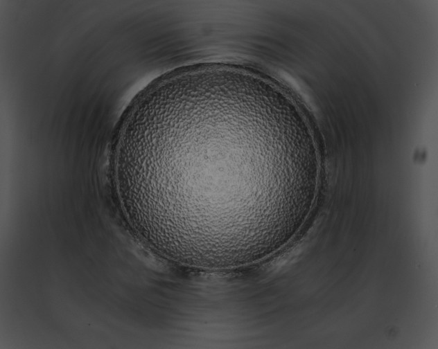 X0000091490875200708301934