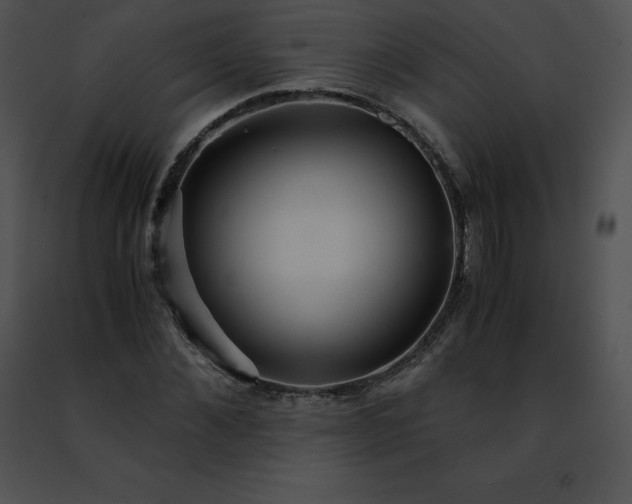 X0000091490876200708301934