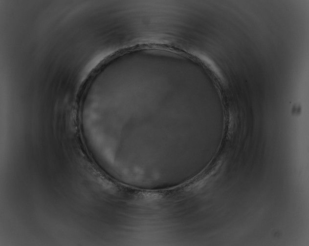 X0000091490878200708301934