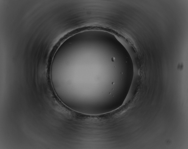 X0000091490880200708301934