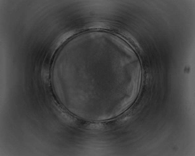 X0000091490882200708301934