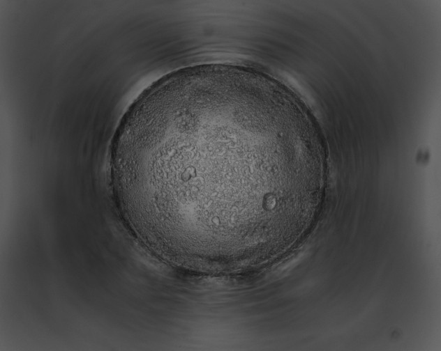 X0000091490883200708301934