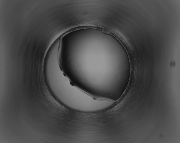 X0000091490884200708301934