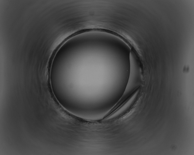 X0000091490885200708301934