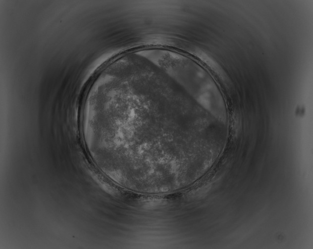 X0000091490886200708301934