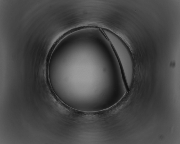 X0000091490888200708301933