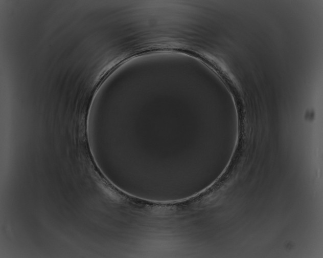 X0000091490889200708301933