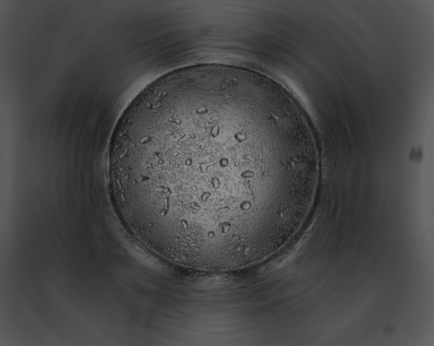 X0000091490891200708301933