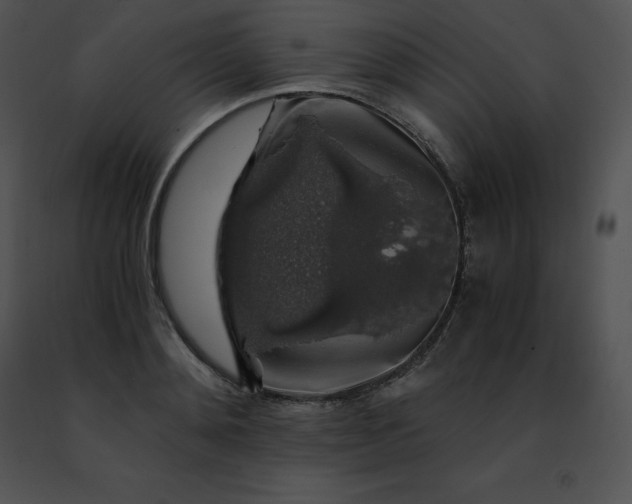 X0000091490892200708301933