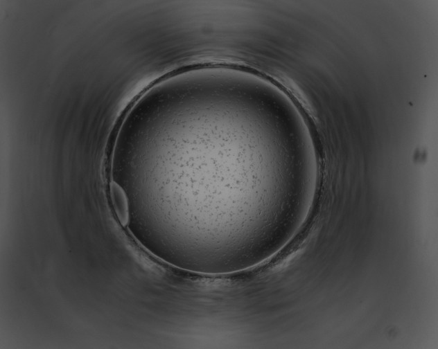 X0000091490893200708301933