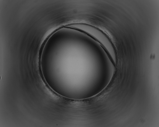 X0000091490894200708301933