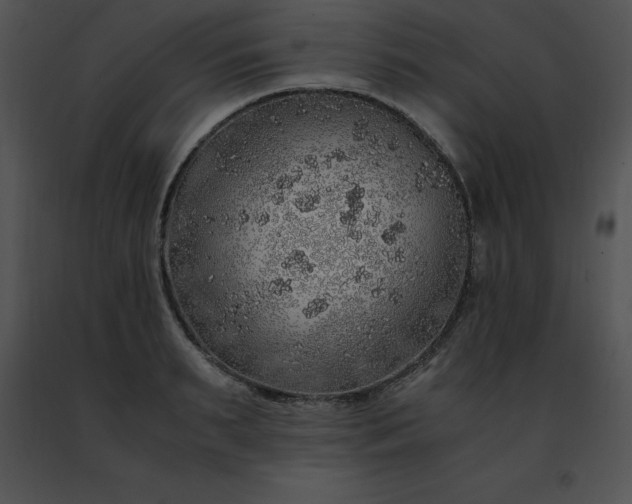 X0000091490895200708301933