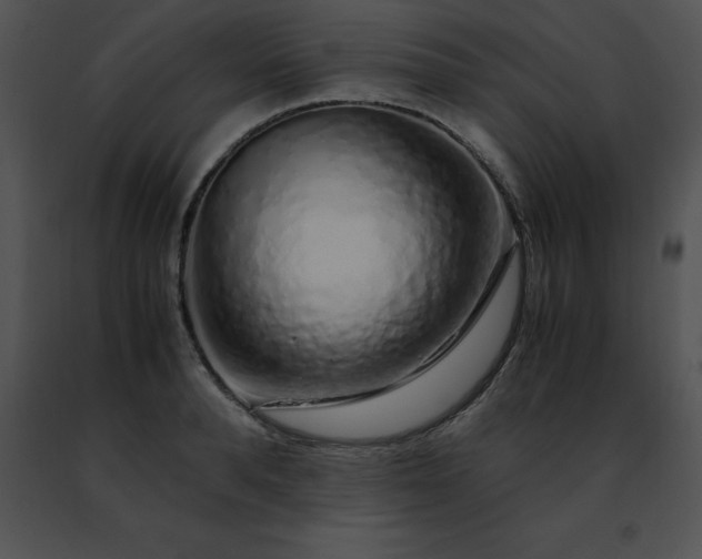 X0000091490896200708301933