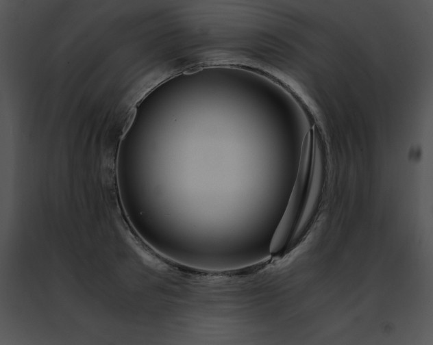 X0000091490897200708301933