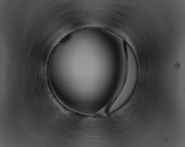 X0000091490898200708301933