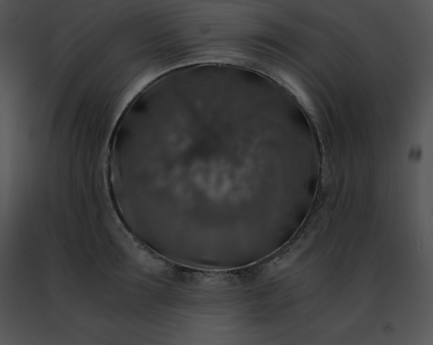 X0000091490899200708301933