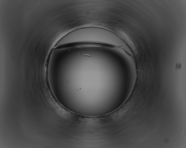 X0000091490900200708301933