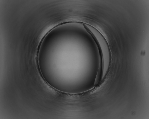 X0000091490901200708301933