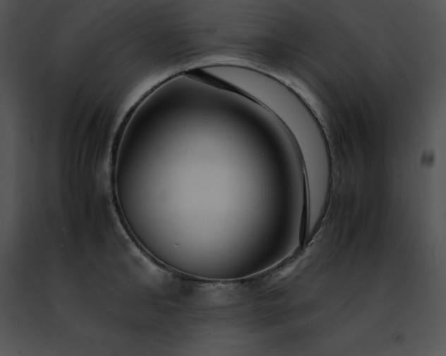 X0000091490902200708301933