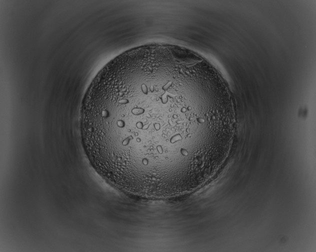 X0000091490903200708301933