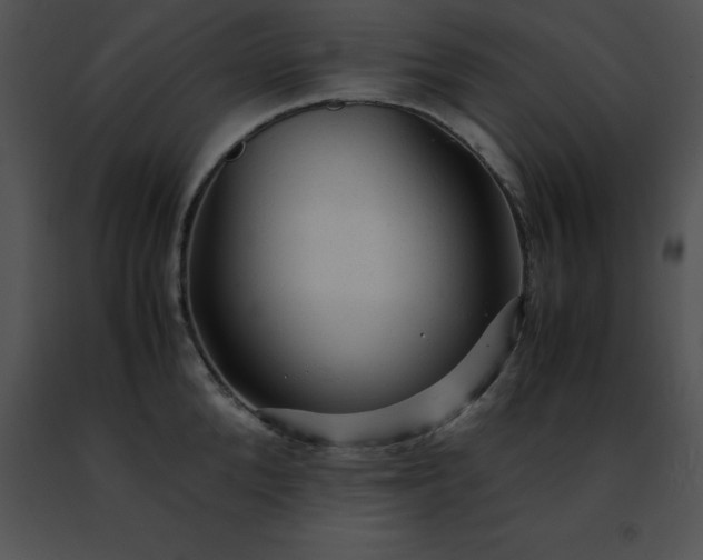 X0000091490904200708301933