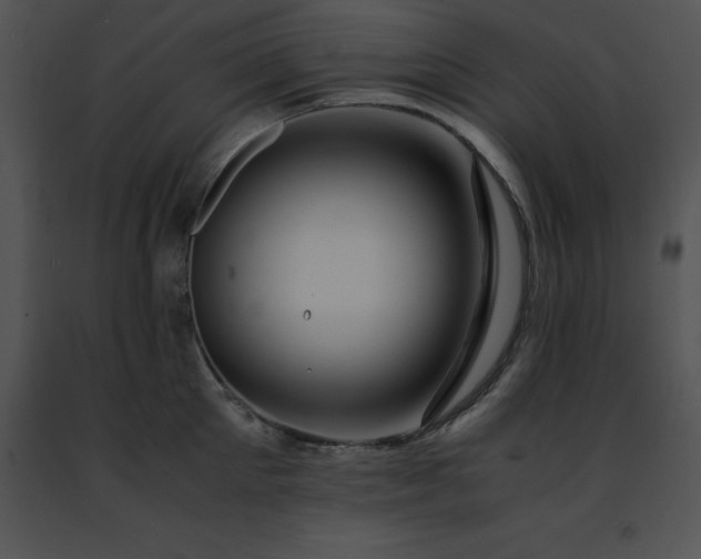 X0000091490905200708301933