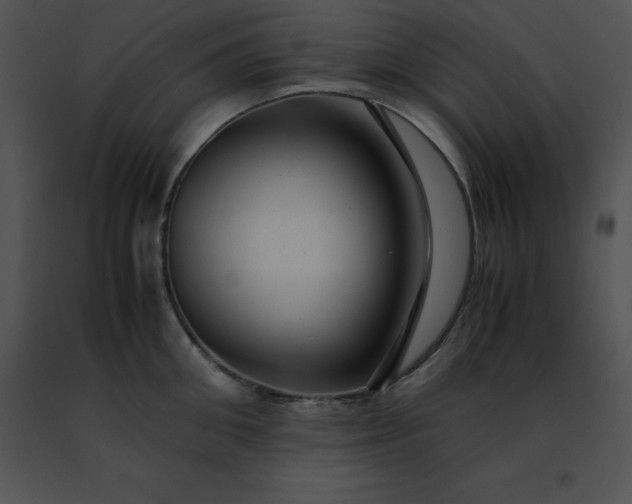 X0000091490906200708301933