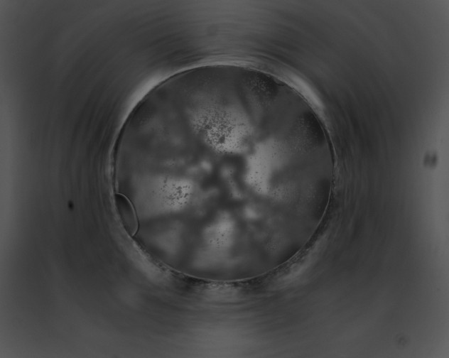 X0000091490907200708301933