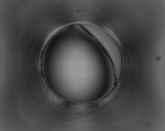 X0000091490908200708301933