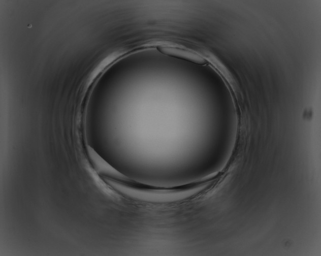 X0000091490909200708301933