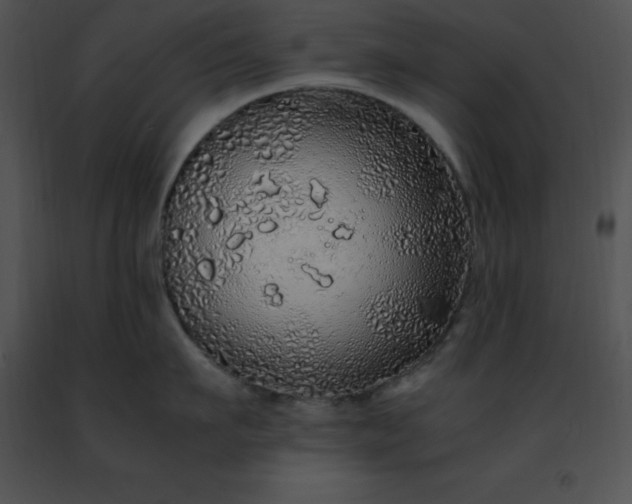 X0000091490911200708301933