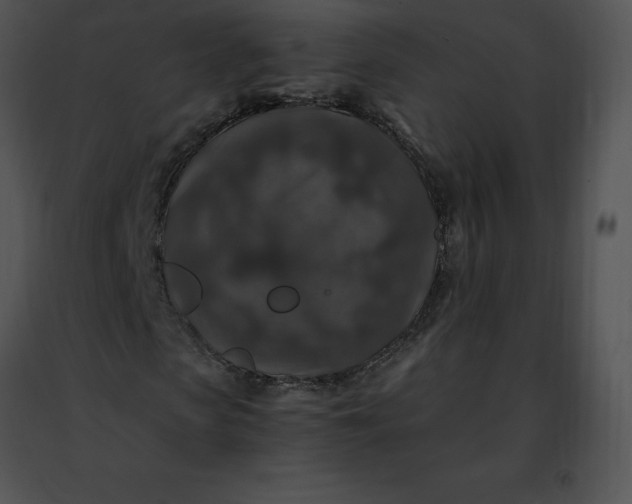 X0000091490913200708301933