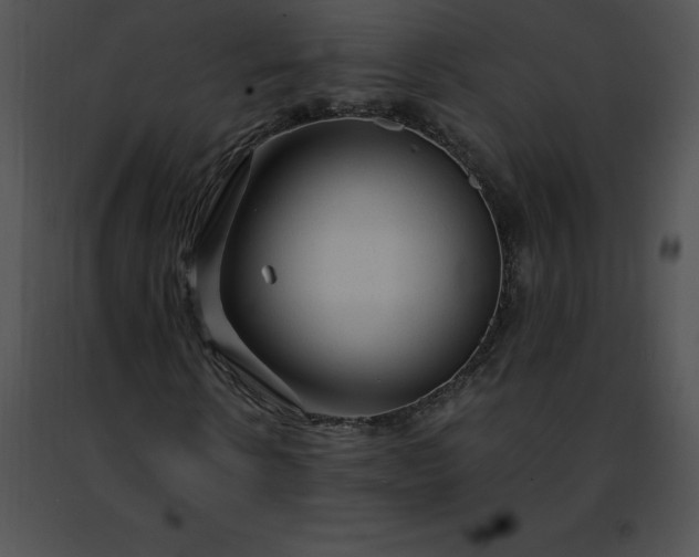 X0000091490914200708301933