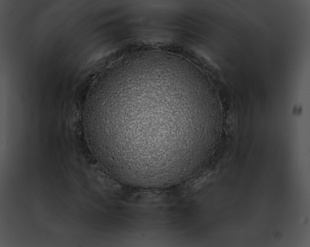 X0000091490917200708301933