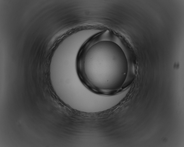 X0000091490920200708301933