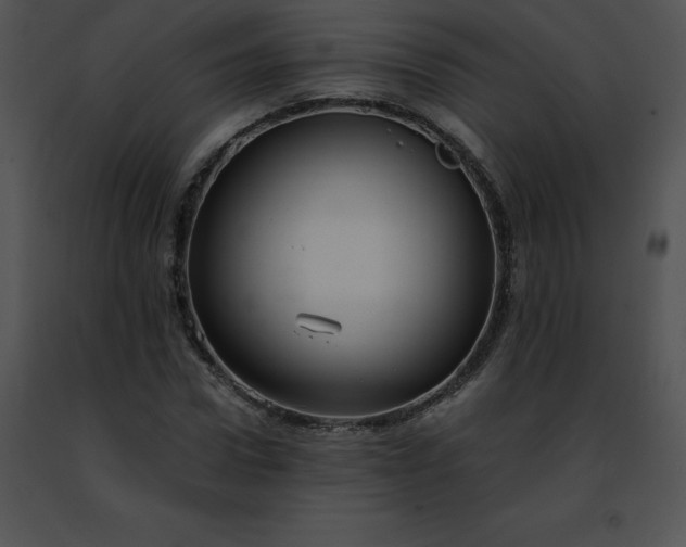 X0000091490922200708301933